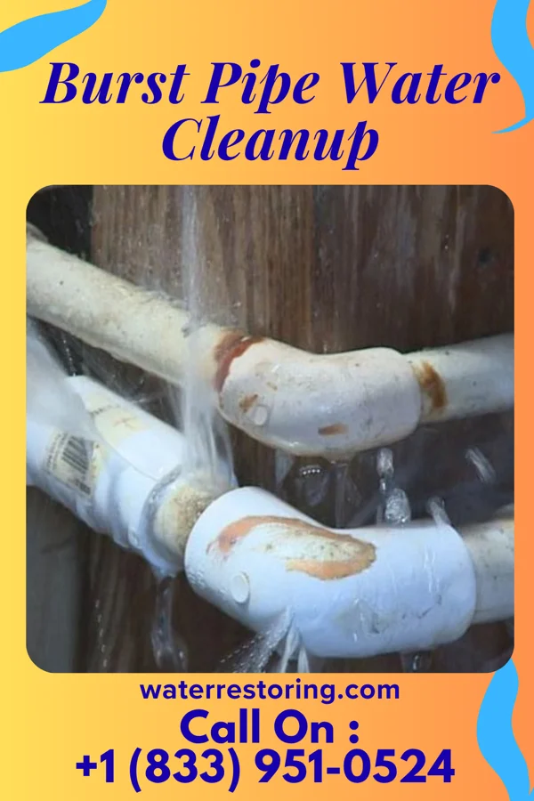 Burst Pipe Water Cleanup in Bruning, NE