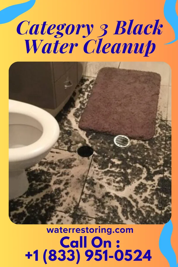 Category 3 Black Water Cleanup in Bruning, NE