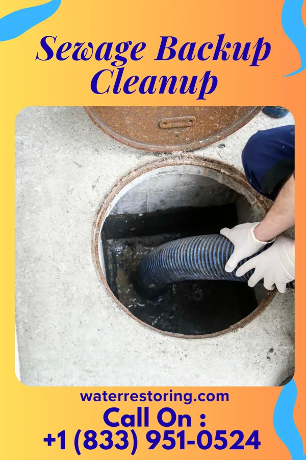 Sewage Backup Cleanup in Bruning, NE